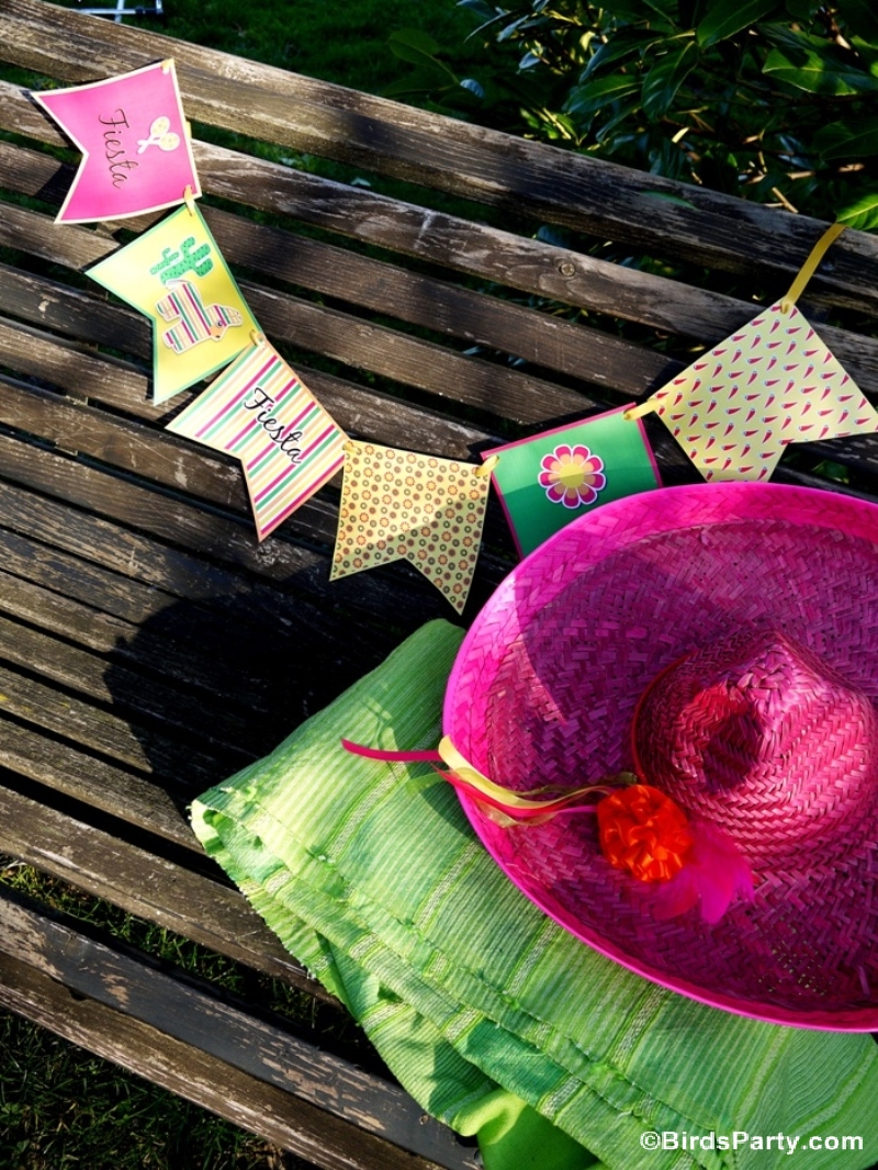 Cinco de Mayo Party Ideas | A Mexican Pinata Themed Fiesta - BirdsParty.com