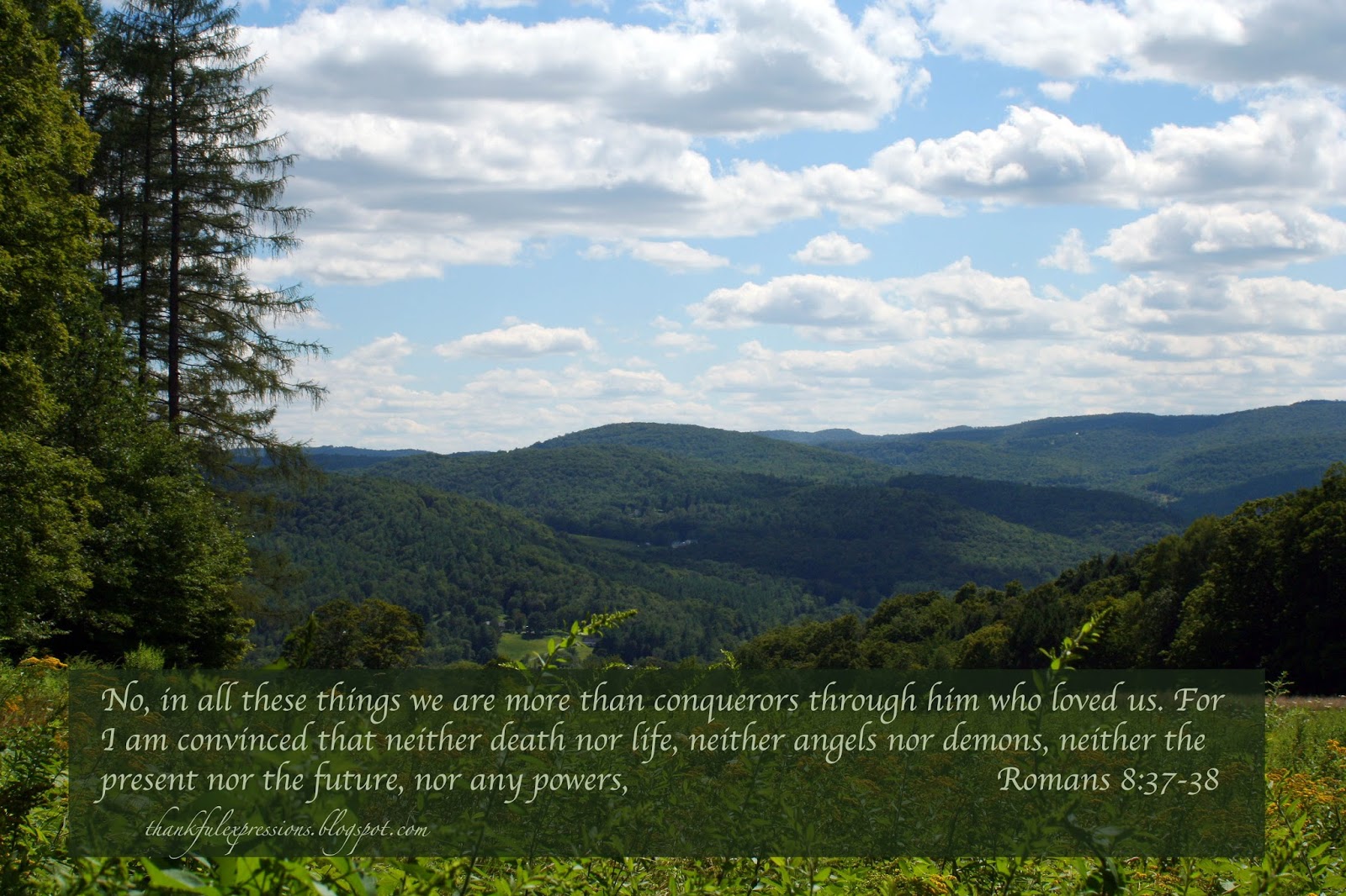 Thankful Expressions Romans 8 37 38 thankful-expressions-romans-8-37-38