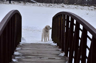 Bridge to Boyson Trail