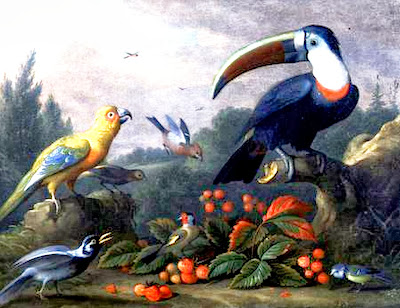 bodegones-exoticos-con-aves