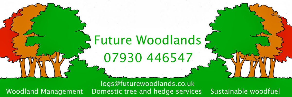 Future Woodlands