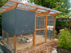 chicken coop roof plans build run coops diy building cloth designs hardware chickens slanted wire simple easy runs corrugated idea
