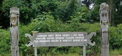 Hutan lindung jenis hutang berdasarkan pemanfaatan kegunaan lahan hutan - berbagaireviews.com