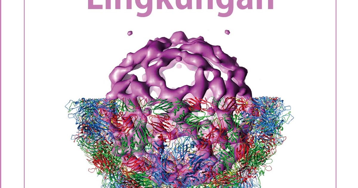 DASARDASAR PENYAKIT BERBASIS LINGKUNGAN  Distributor Buku