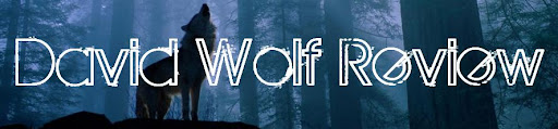 David Wolf Review