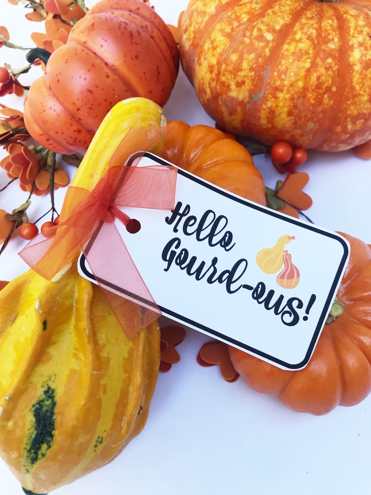 michelle paige blogs Pumpkin and Gourd Printable Tags