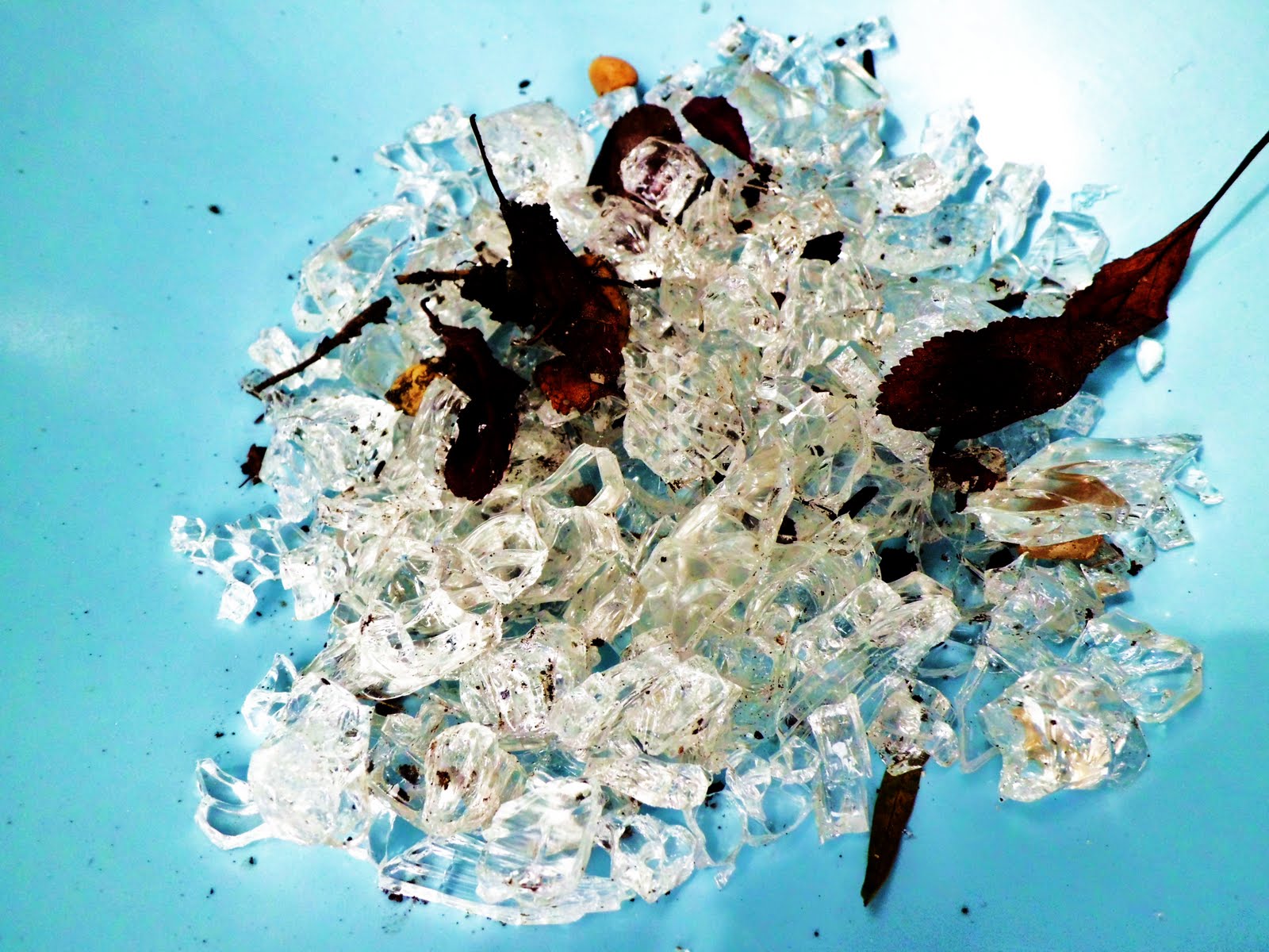 Hidden Liberty Breaking Glass