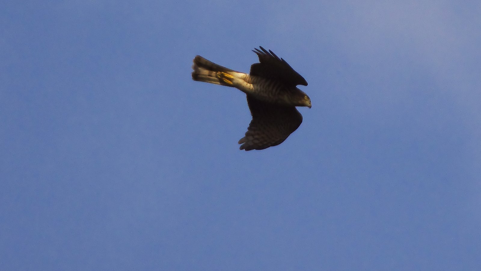 映画でよく見られる 5 つの科学的間違い