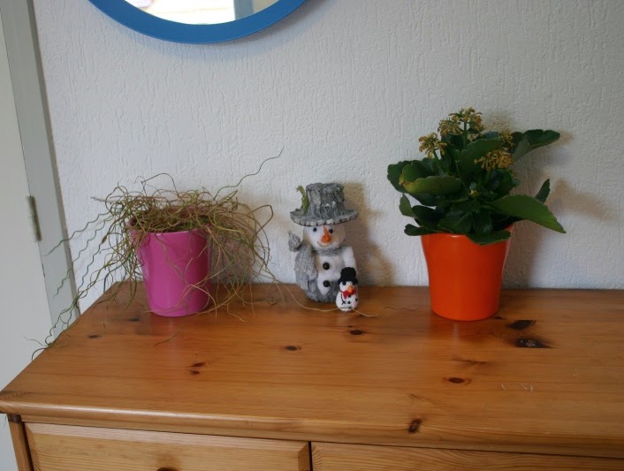 Linsiedepinsie It s Okay To Throw A Plant Away