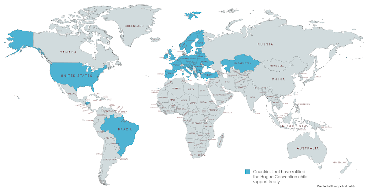 Pundit Navigating International Case Processing under the Hague Convention