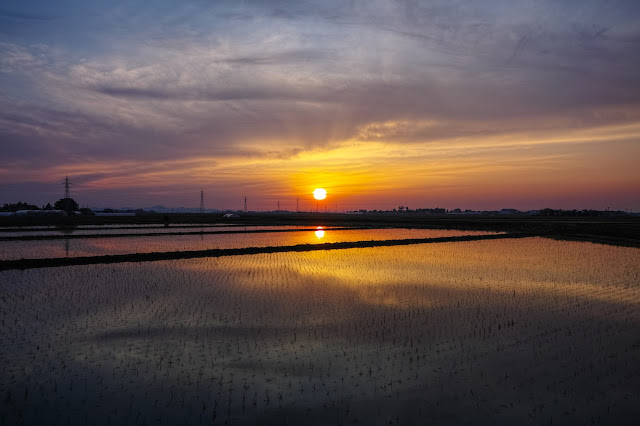 #photo #landscape #sigma #foveon #sdquattroh #japan #yamagata #tsuruoka #写真 #風景写真 #山形帝國 #山形県 #鶴岡市