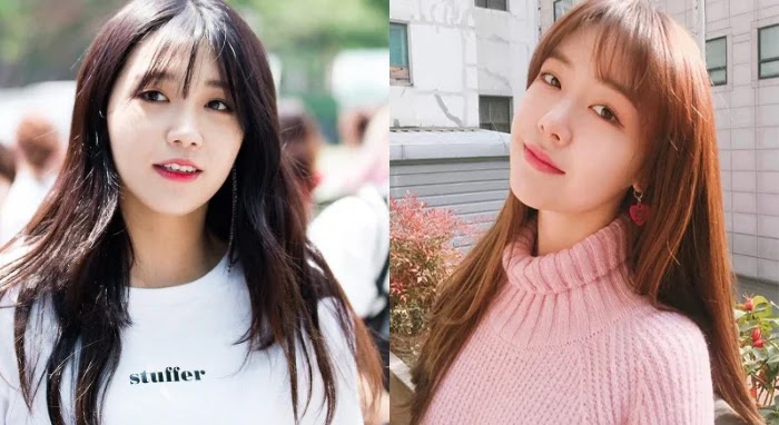 Eunji (Apink) dan Minah (Girl's Day) Menurut Penggemar, Inilah Idola K-Pop Yang Wajahnya Sangat Mirip