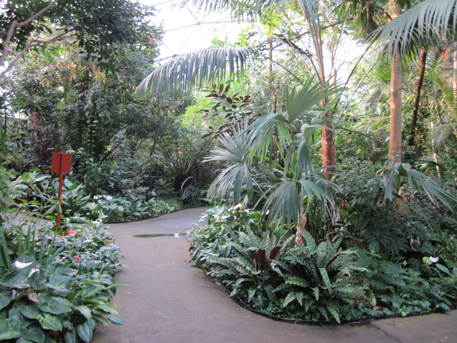 Travel NC With Kids North Carolina Zoo Aviary So Much Beauty Under