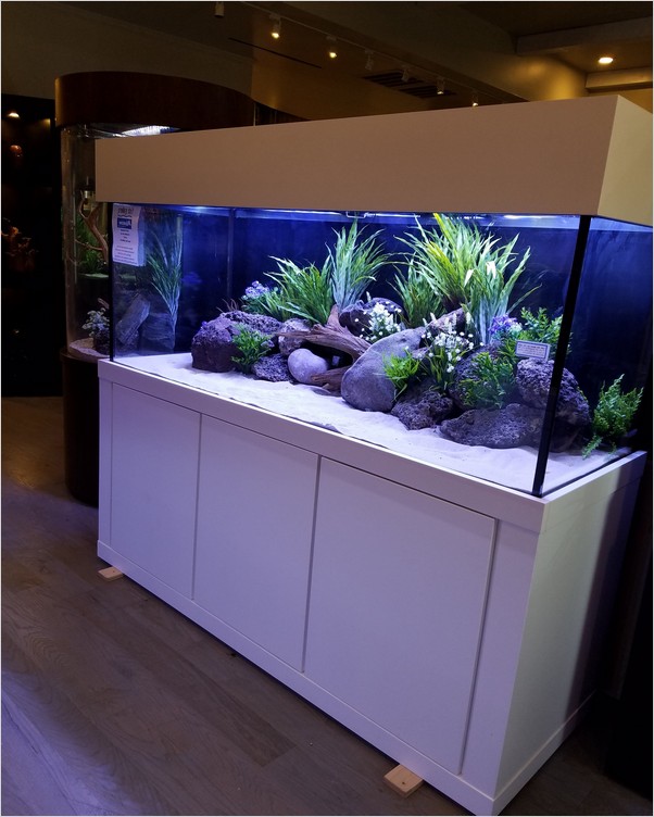 √√ 200 Gallon FISH TANK Home Interior Exterior Decor
