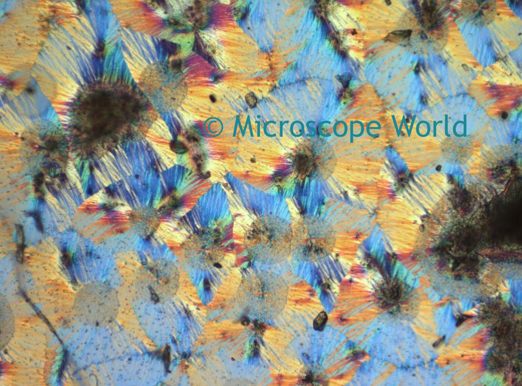 physically Qualification Mathematician Microscope World Blog: Vitamin C under the Microscope