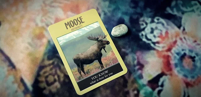 Moose - Power Animal Oracle Cards