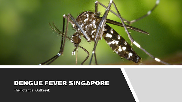 Outbreak in Singapore? Dengue Fever not COVID19