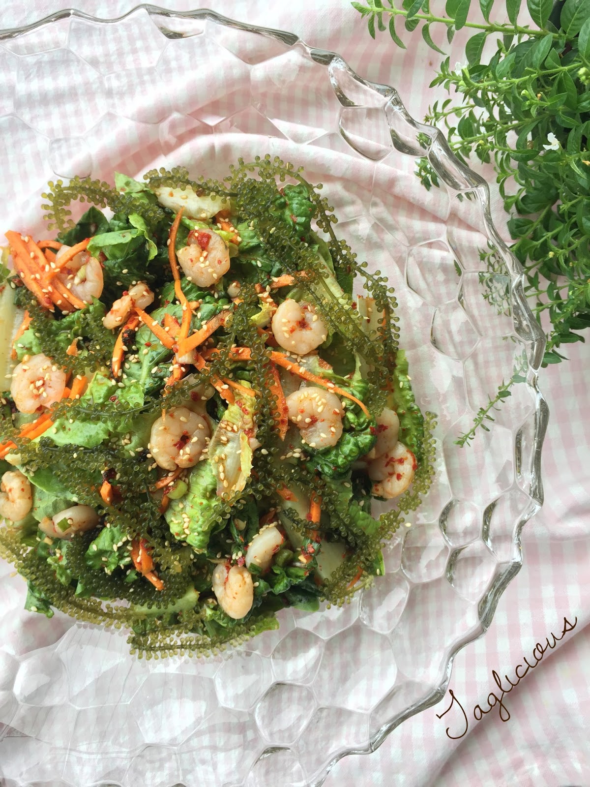 TAGlicious Korean Salad with Shrimps & Beautiful Sea Grapes Seaweed