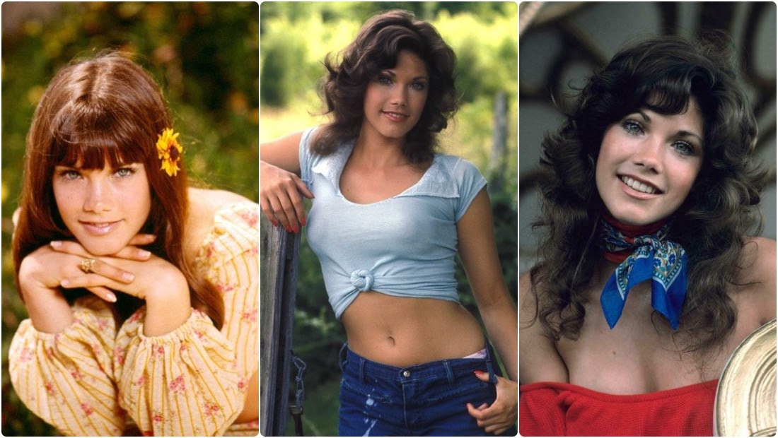 gøre ondt Nogen som helst Billedhugger 30 Fabulous Photos of a Young Barbi Benton in the 1970s and '80s ~ Vintage  Everyday