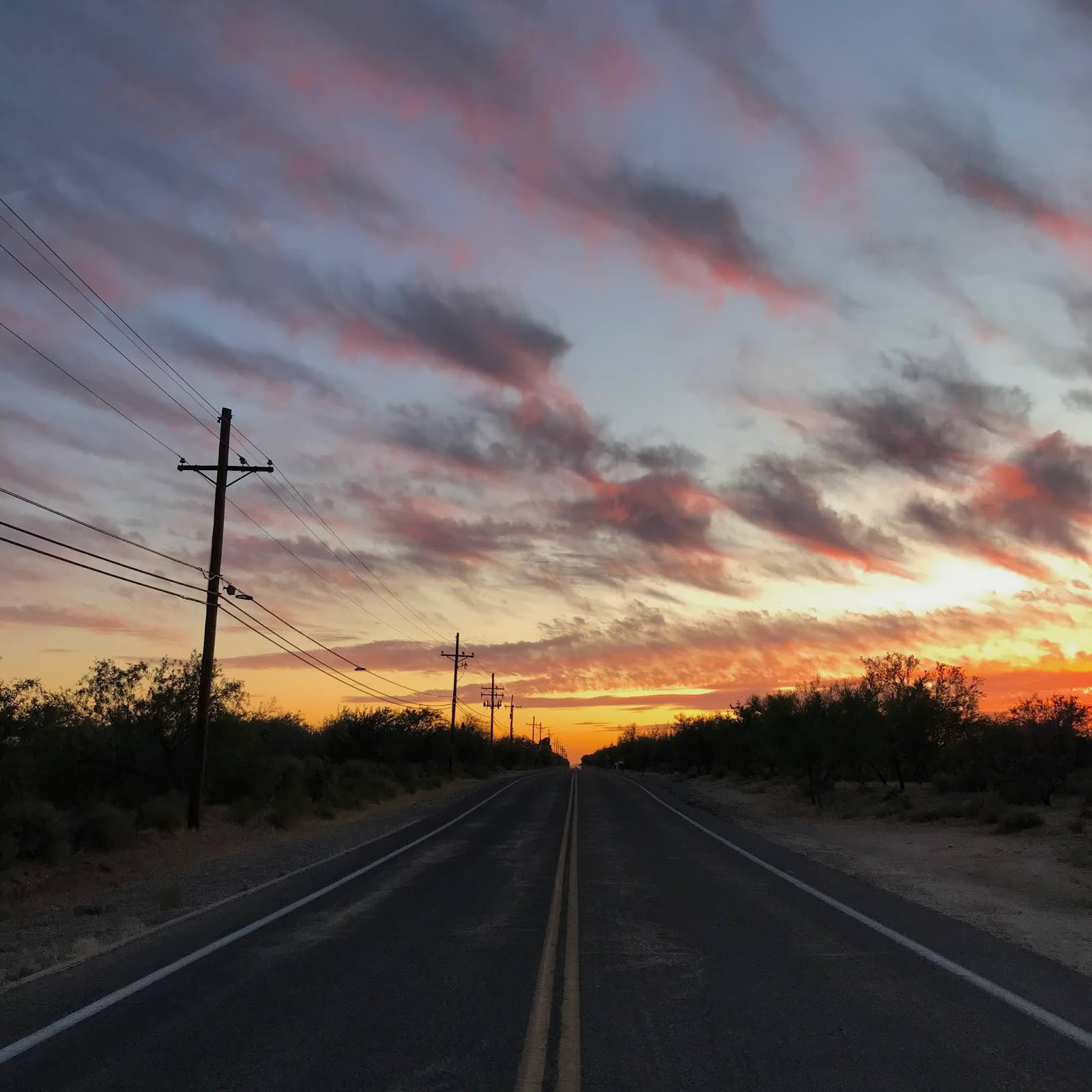 Sherrie loves color! On a dark desert highway