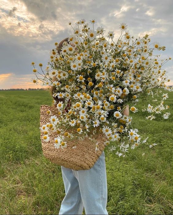 Emma�nın Günlügü