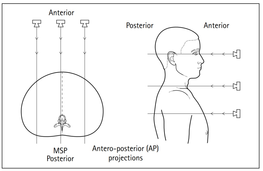 Clark's Radiography Projection Terminology