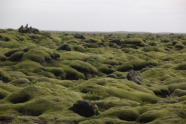 Лавовые поля Исландии