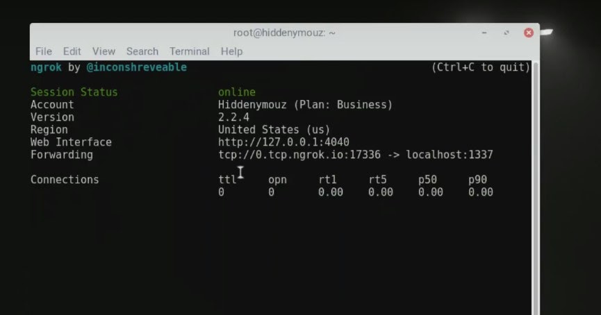 Ngrok tcp. Ngrok. Ngrok + fastapi. Ngrok. Ngrok как открыть порты.