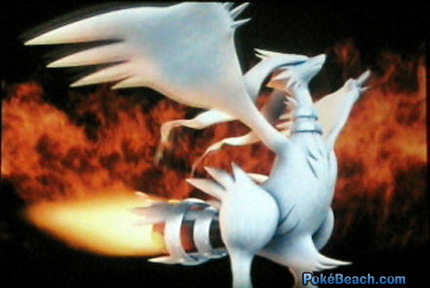 reshiram_p.PNG