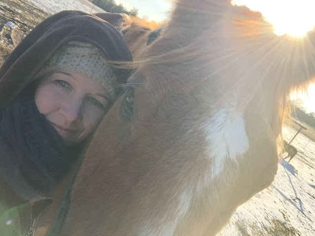 sunshine and snow at the farm