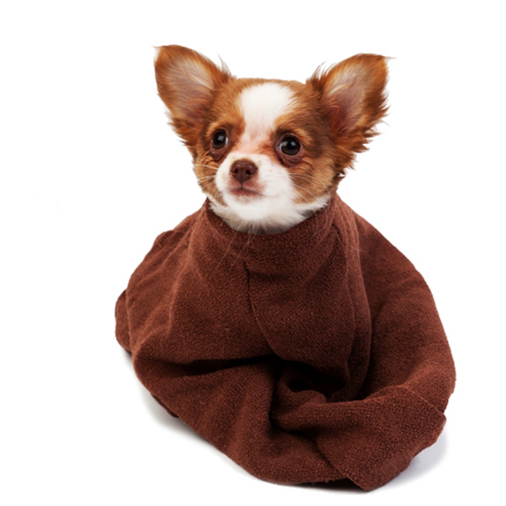 The Doggy Bag Microfibre Towel for Dogs Australian Dog Lover