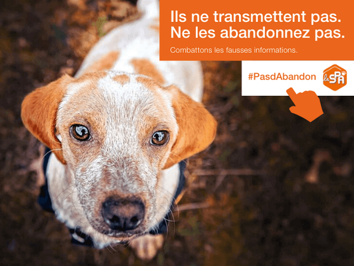 Reflets Covid19 La Société Protectrice des Animaux et 30 Millions d'amis
