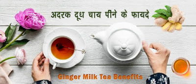 अदरक दूध करे बीमारियां का सफाया ginger milk tea benefits in hindi Ginger-Milk-Tea-Benefits-in-hindi, Health-Benefits-of-Ginger-Tea-in-Hindi, Adrak-doodh-tea-peene-ke-fayde, health-benefits-of-ginger-milk-tea, doodh-aur-adrak-chi-pine-ke-fayde
