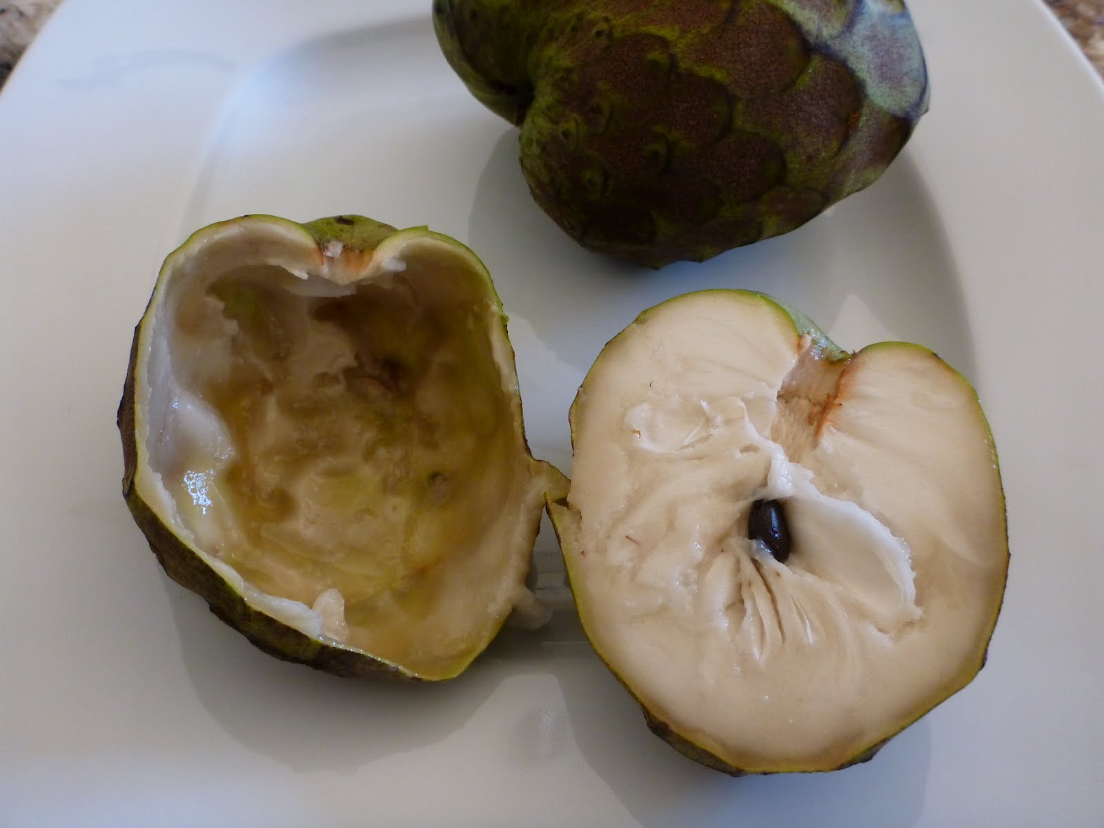 TravelMarx: Binomen Art - Cherimoya (Annona)