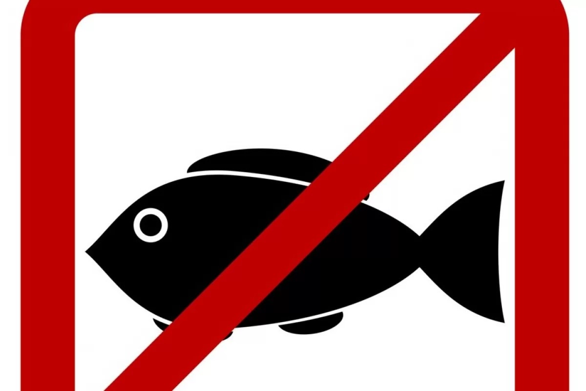 Когда запрещено ловить рыбу. Рыба запрещена. Рыбалка запрещена. Перечеркнутая рыба. Лов рыбы запрещен табличка.