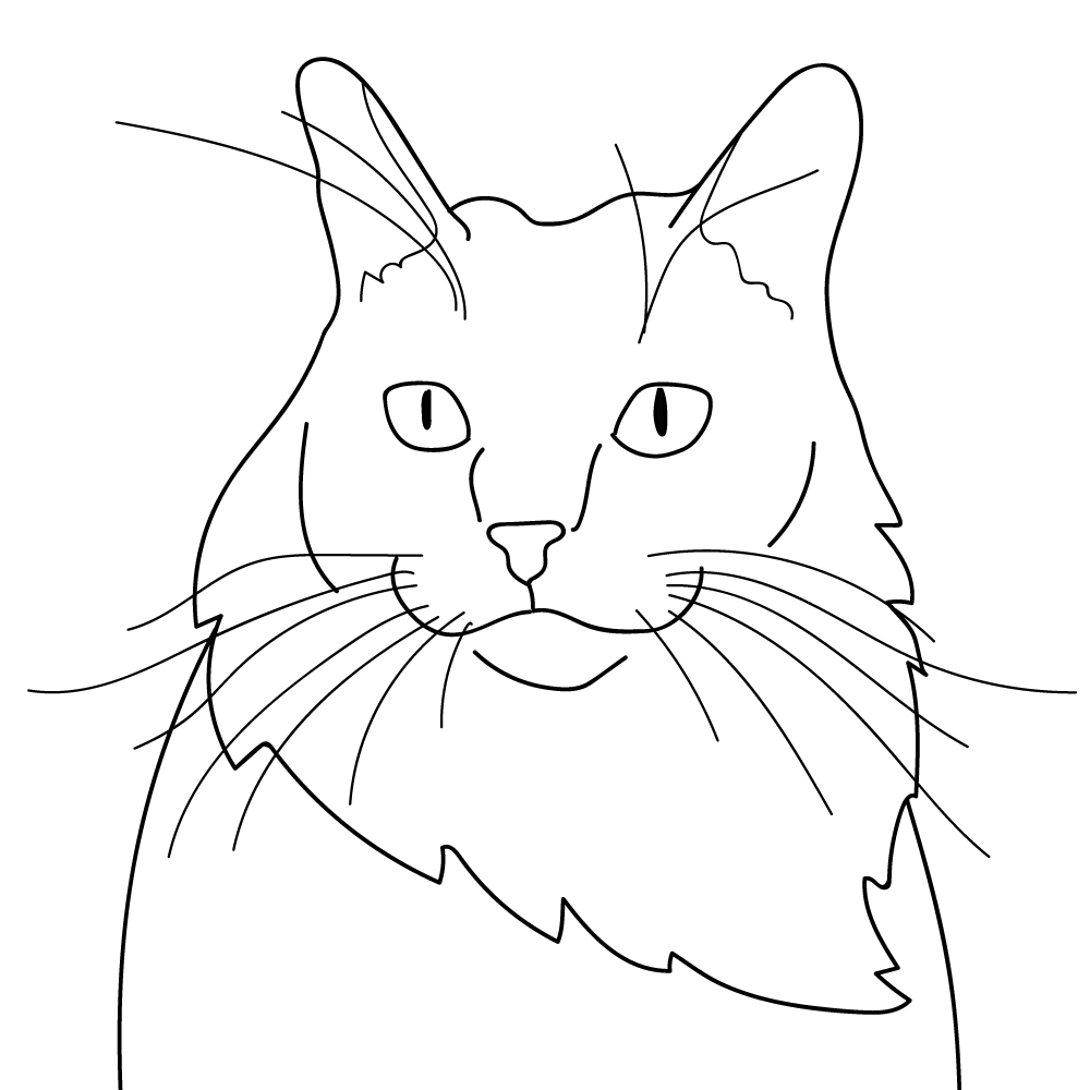 Cat line art Vector drawing 07 | Vectoy
