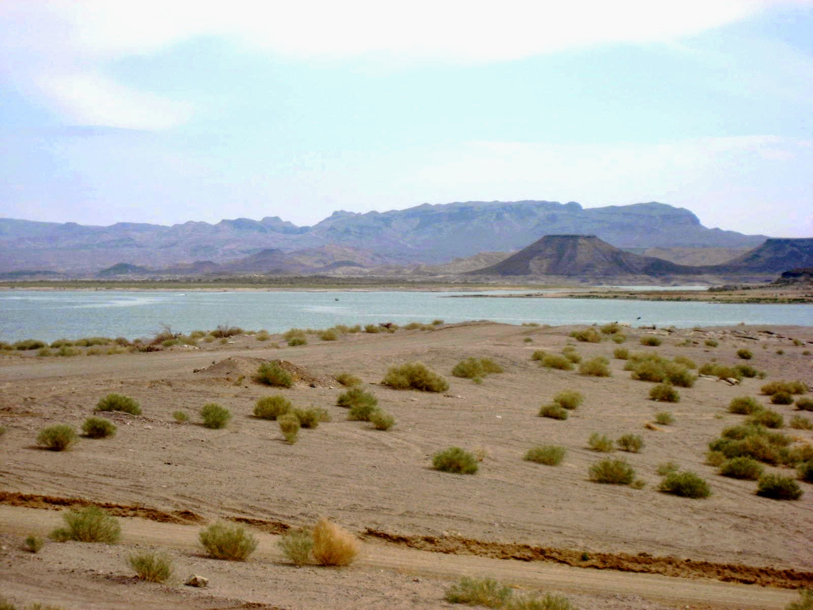 Living Rootless Elephant Butte State Park, New Mexico A Flash Back