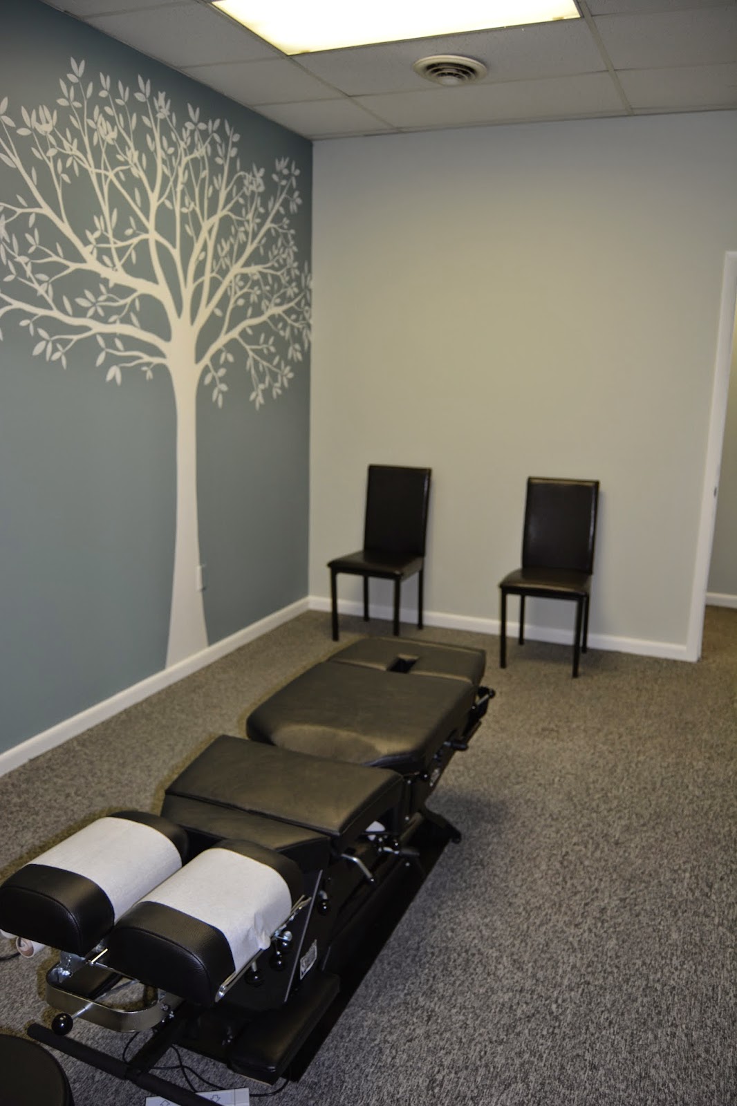 29 Design Studio Back in Motion Chiropractic Renovation