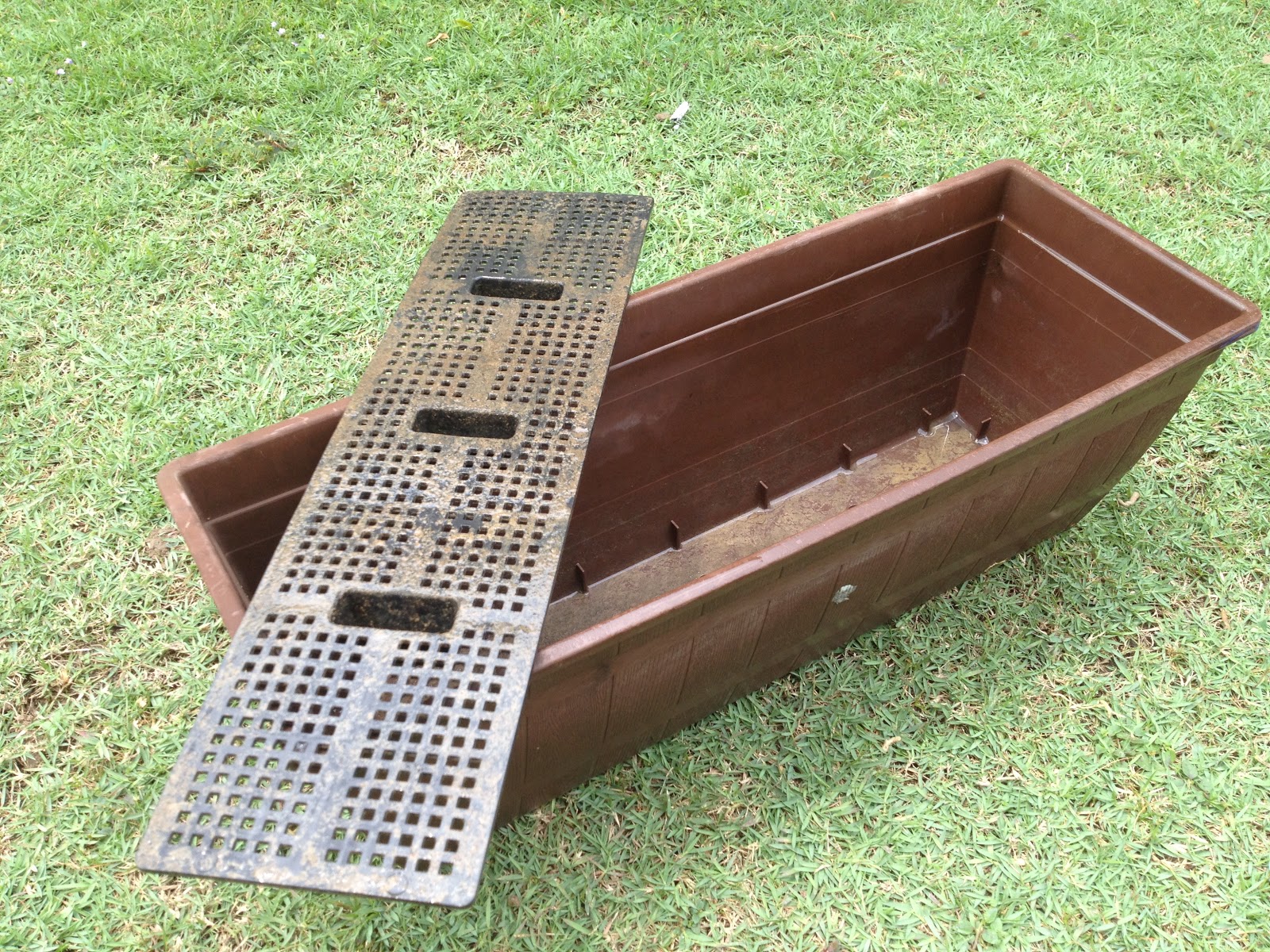 My Home My Garden My Rules starting