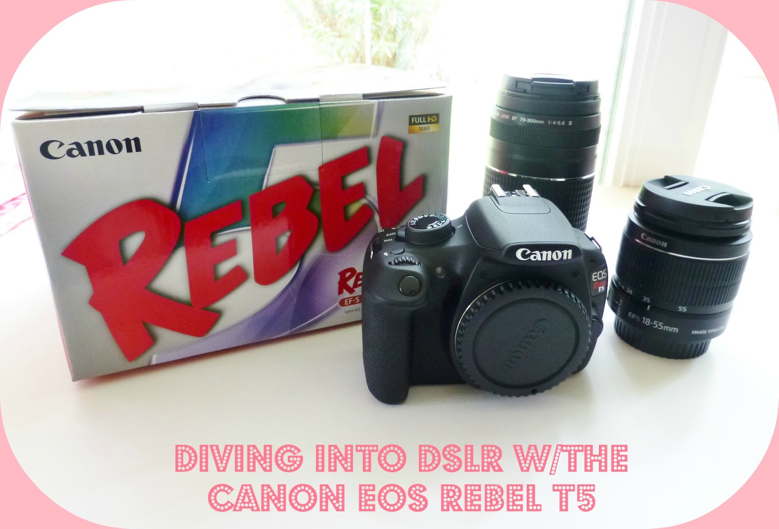 The Hyper Hub DSLR vs Point and Shoot Camera