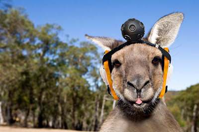 Google Street View Roo Project