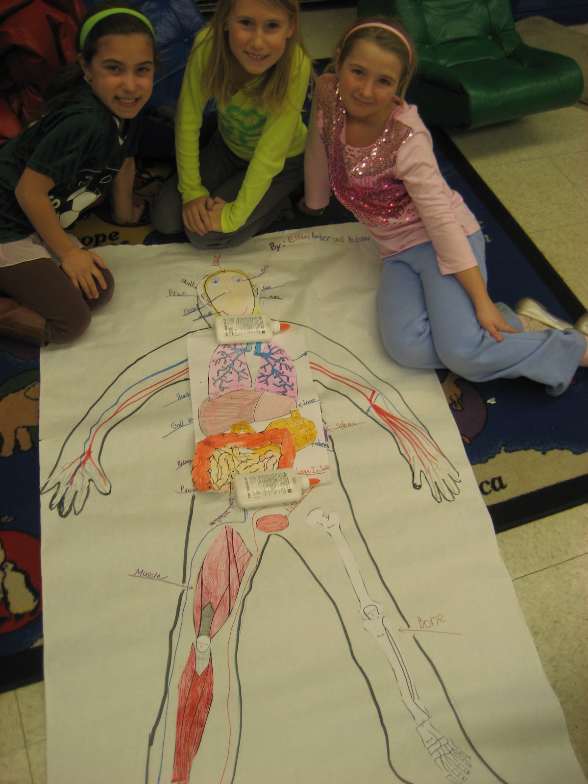 Human Body Systems Projects