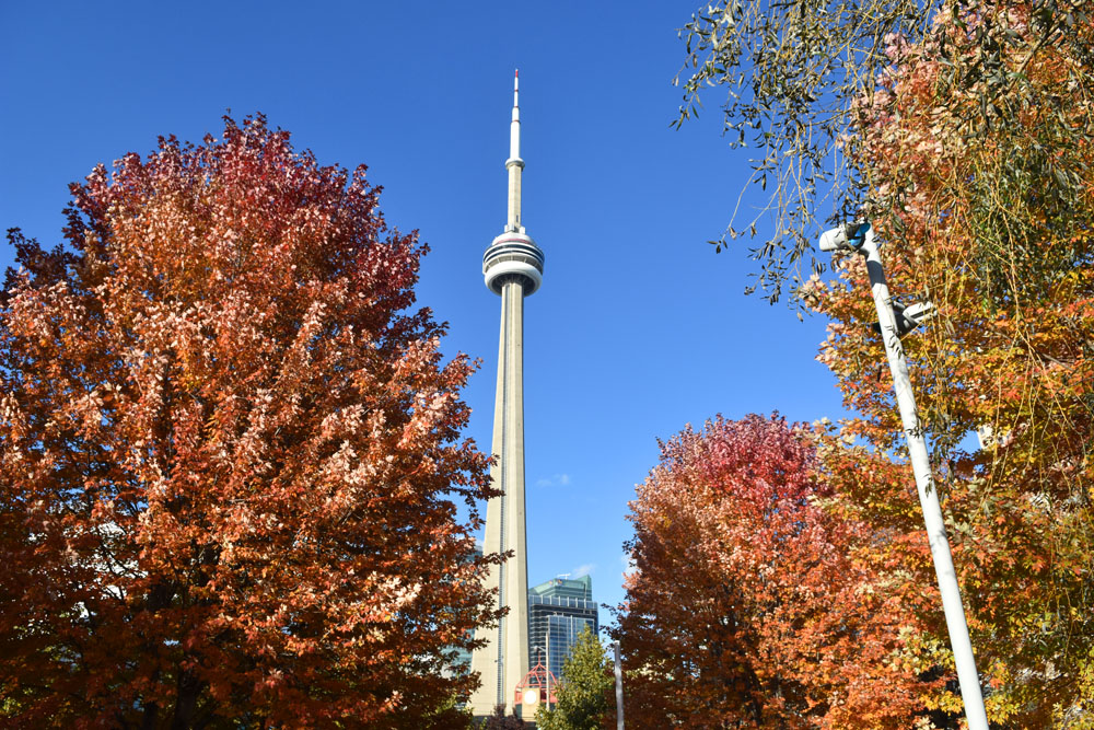 Toronto Grand Prix Tourist A Toronto Blog 2021 Toronto Fall colours