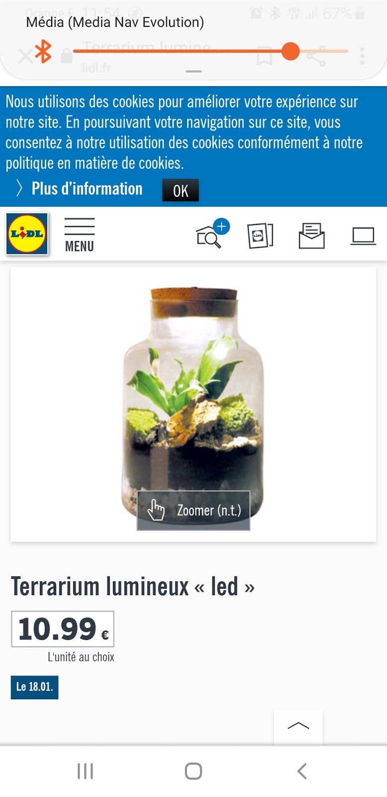 mes 3 loulous Terrarium lumineux Lidl