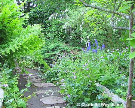 Vibrant Vann - an Arts & Crafts garden - and a chance to admire ...