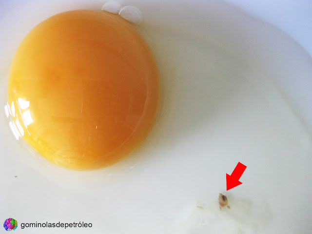 El color de la yema de huevo