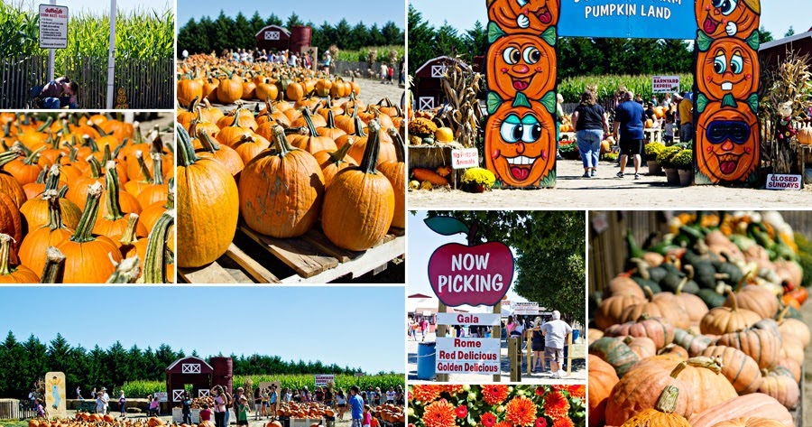 A Neu York Adventure New Jersey's BEST Apple Cider Donuts A Neu York Adventure New Jersey's BEST Apple Cider Donuts
