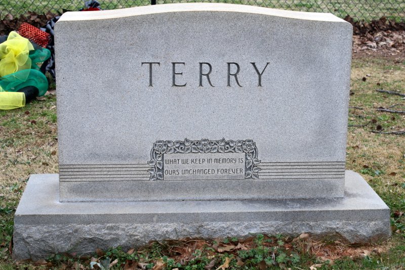 Climbing the Branches of My Family Tree SATURDAY'S STRUCTURE Elmwood