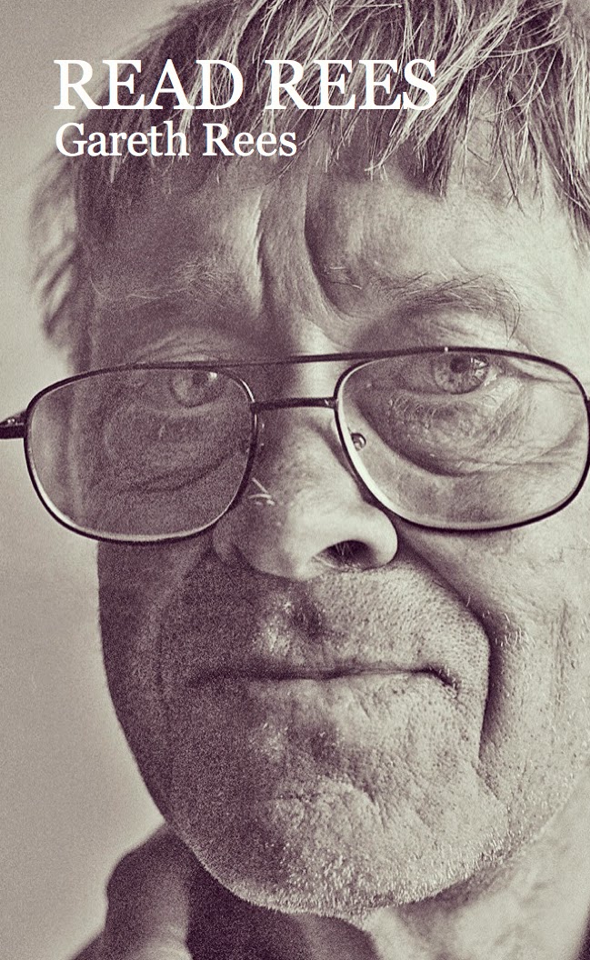 137 ALBION ROAD : The Diary Of A Cleaner by Gareth Rees.