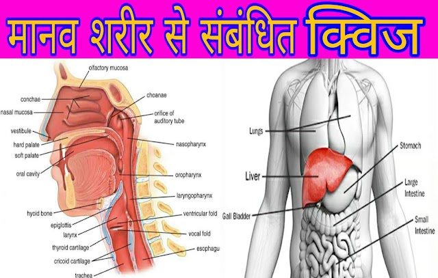 मानव शरीर से संबंधित महत्वपूर्ण प्रश्न | biology question in hindi 